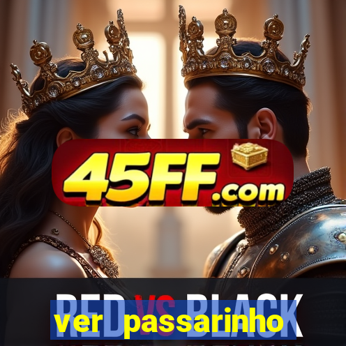 ver passarinho morto significado espiritual